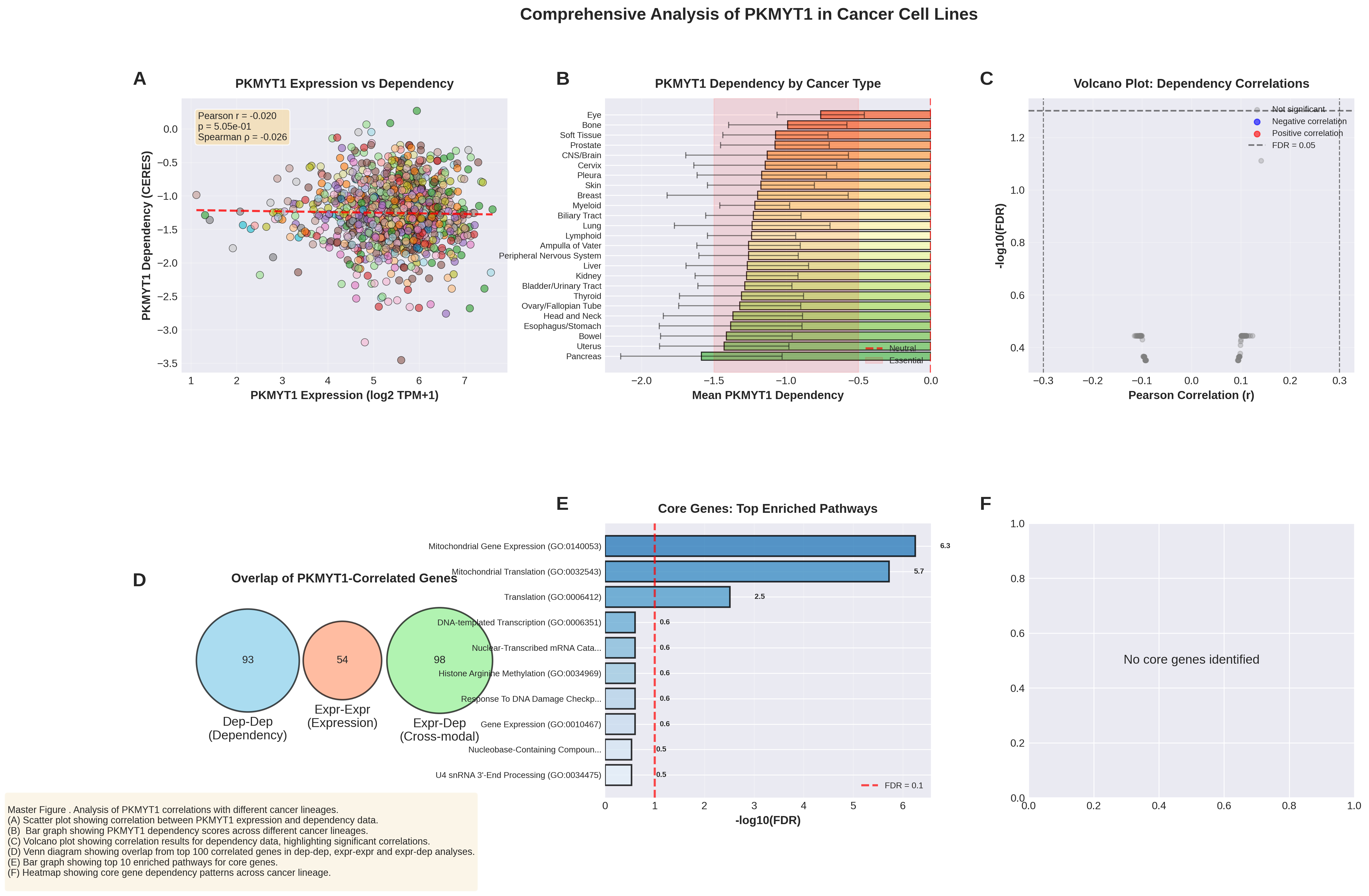 Student assignment showing comprehensive PKMYT1 analysis with scatter plots, bar charts, volcano plots, Venn diagrams, and pathway enrichment